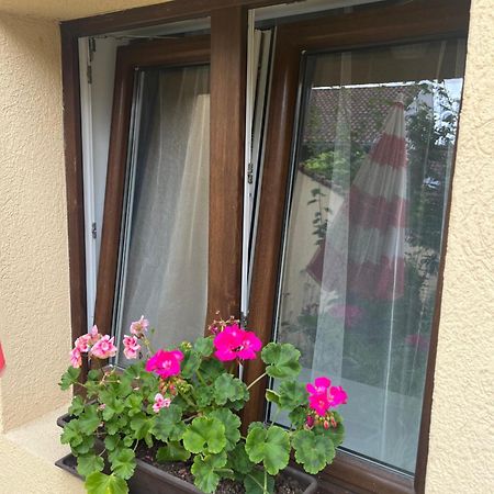 Kerti Franciaagyas Apartman Vác Buitenkant foto